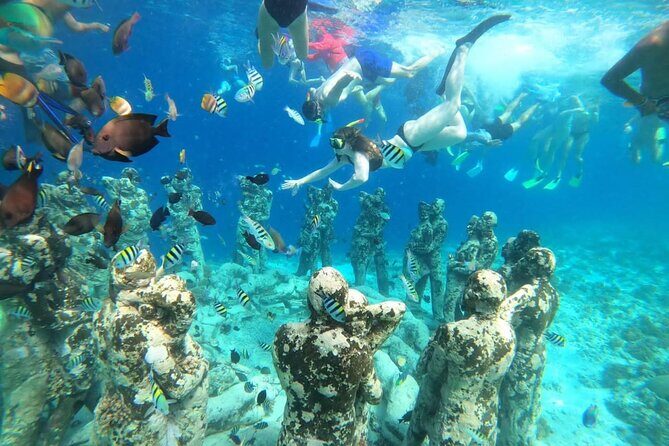 Gili Island Snorkeling Adventure Turtles Statues and Coral Garden - The Experience: A Deep Dive into the Tours Highlights