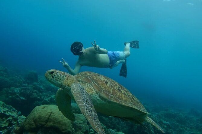 Gili Island Snorkeling Adventure Turtles Statues and Coral Garden - Who Is This Tour Best For?