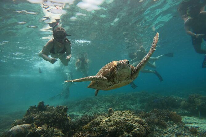 Gili Island Snorkeling Adventure Turtles Statues and Coral Garden - FAQ