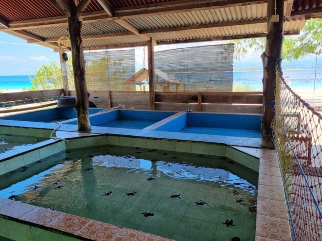 Gili Island Snorkeling: Gili Trawangan, Meno And Air - Booking Flexibility