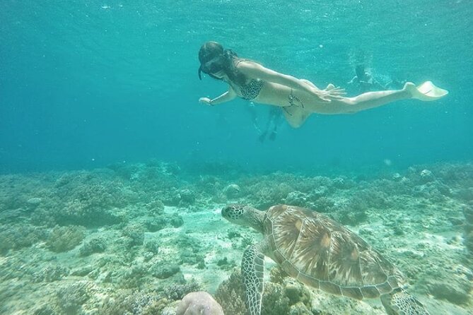 Gili Island Snorkeling Half Day Trip Departure From Gili Trawangan - Pricing and Booking