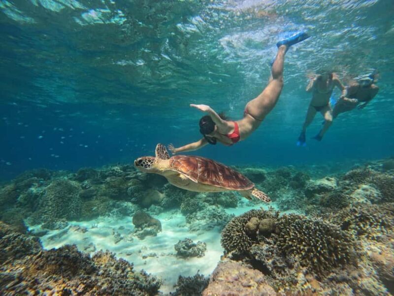 Gili Island Snorkeling Tour: 3 Gilis, 4 spots & GOPRO shoot - Gili Island Snorkeling Tour: 3 Gilis, 4 Spots & GOPRO Shoot