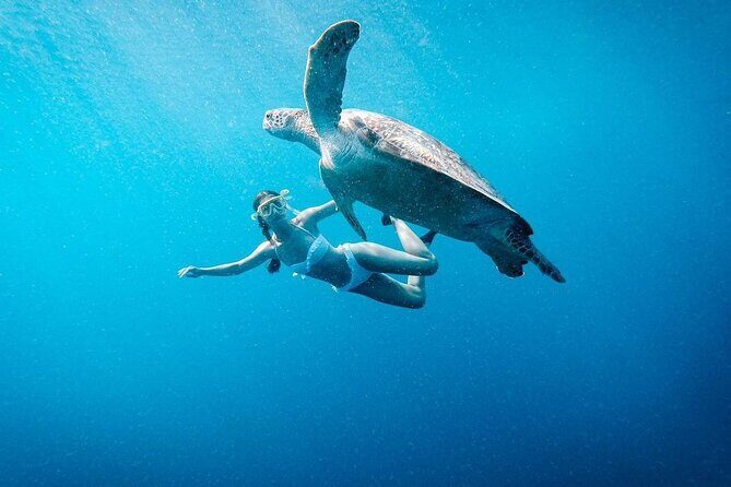 Gili Island Snorkeling Trip - Gili Trawangan, Gili Meno, & Gili Air, From Lombok - Good To Know