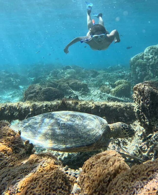 Gili island Snorkelling by private glass bottom boat - Who Is This Tour Best For?