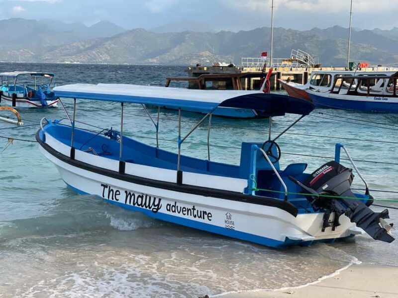 Gili island Snorkelling by private glass bottom boat - Who Should Consider This Tour