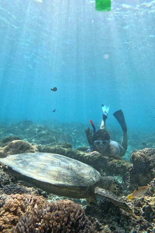 Gili island Snorkelling by private glass bottom boat - Frequently Asked Questions