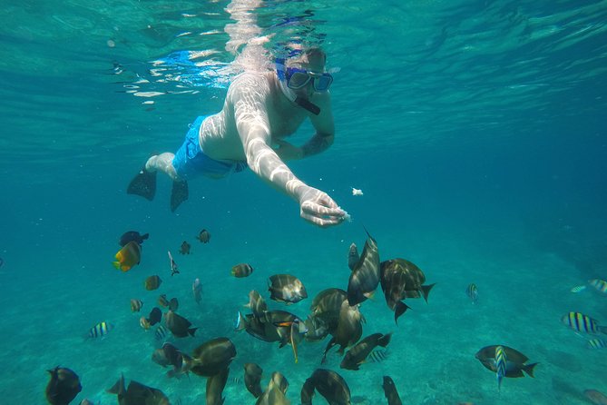 Gili Islands Overnight Tour From Bali With Hotel and Transfers - Seminyak - Tour Highlights