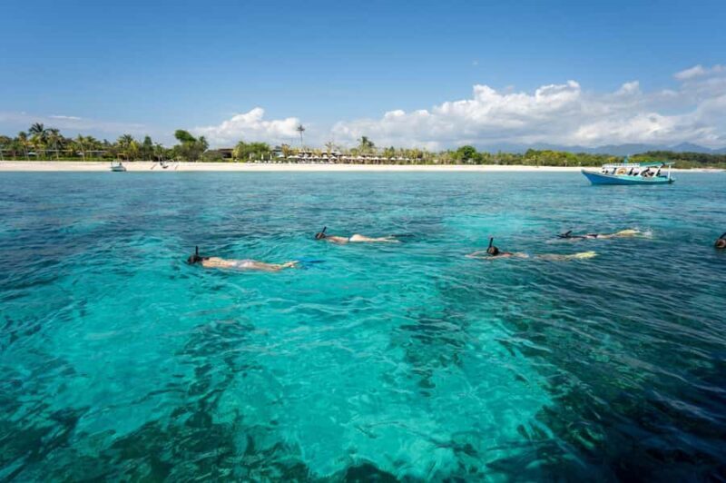 Gili Islands: Private or Shared Snorkeling Boat Trip - Authentic Reviews and Tips from Travelers