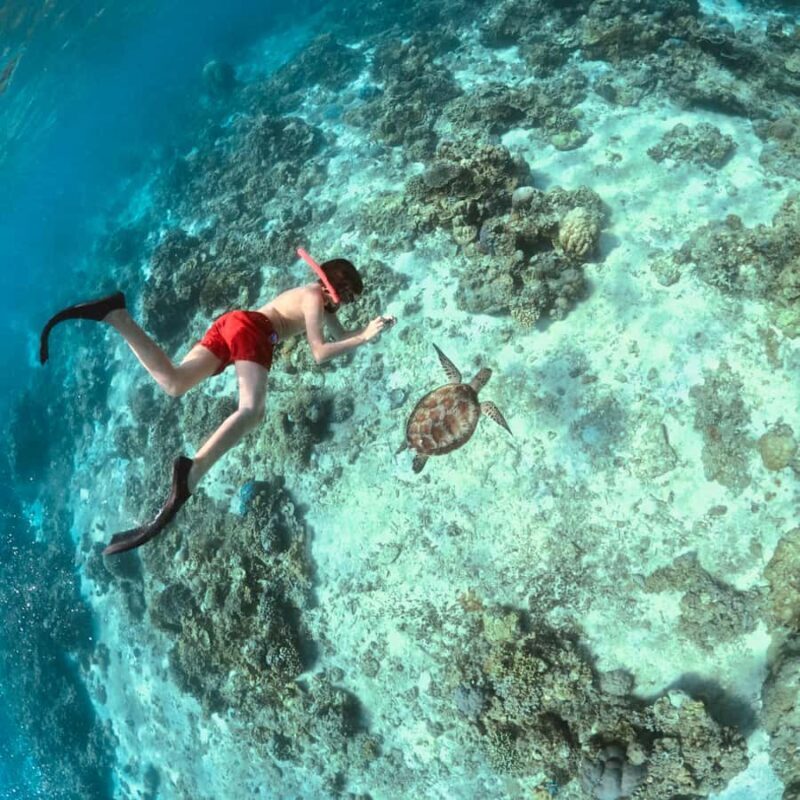 Gili Islands: Private or Shared Snorkeling Boat Trip - FAQ