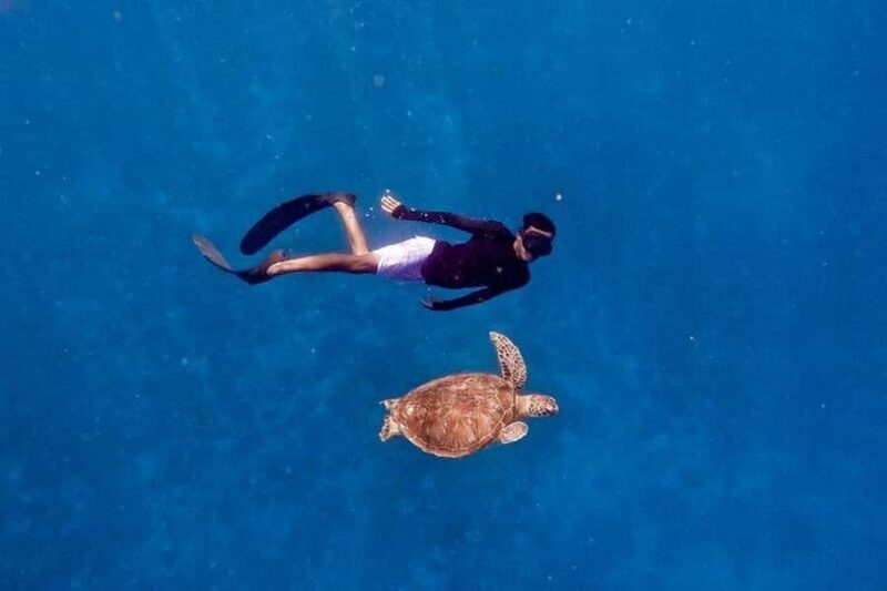 Gili Islands: Private Snorkeling Boat Tour with Local Guide - A Deep Dive into the Experience