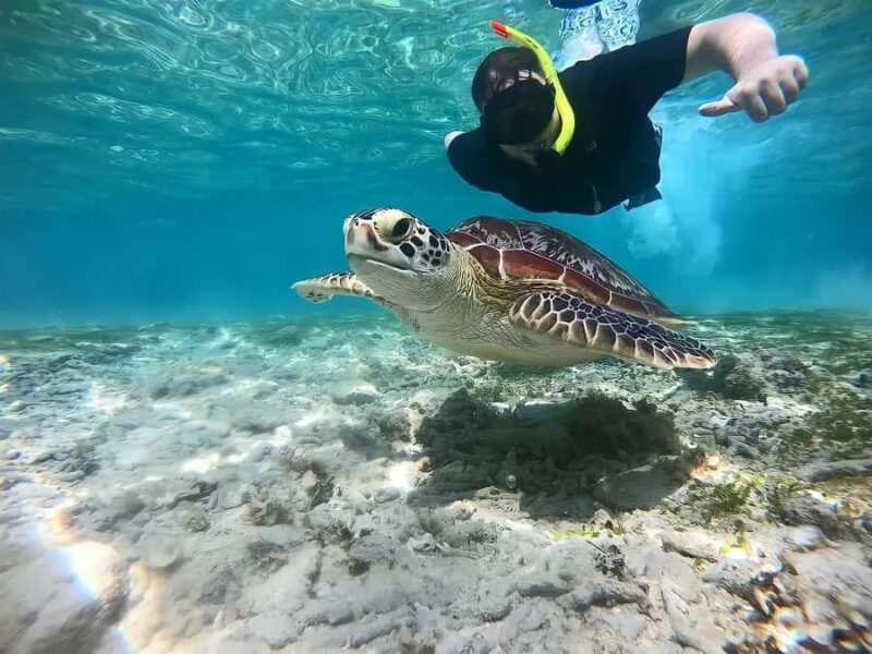 Gili Islands: Private Snorkeling Boat Tour with Local Guide - Good To Know