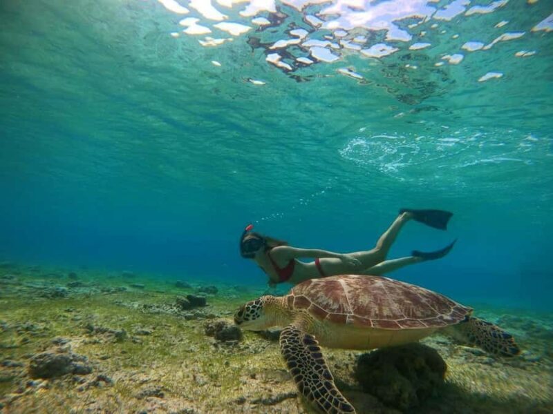 Gili Islands: Private Sunset & Snorkeling Tour with GoPro - Good To Know