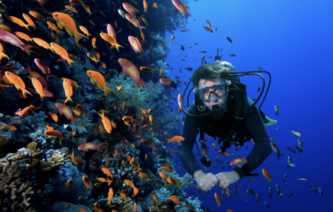 Gili Islands: Scuba Dive - Indonesia - Dive Experience Details