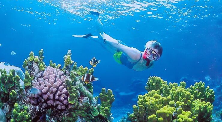 Gili Islands Snorkeling Adventure - Good To Know
