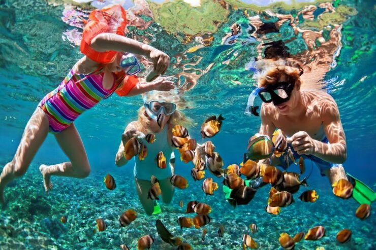 Gili Islands Snorkeling Adventure - Snorkeling Gear and Safety Measures