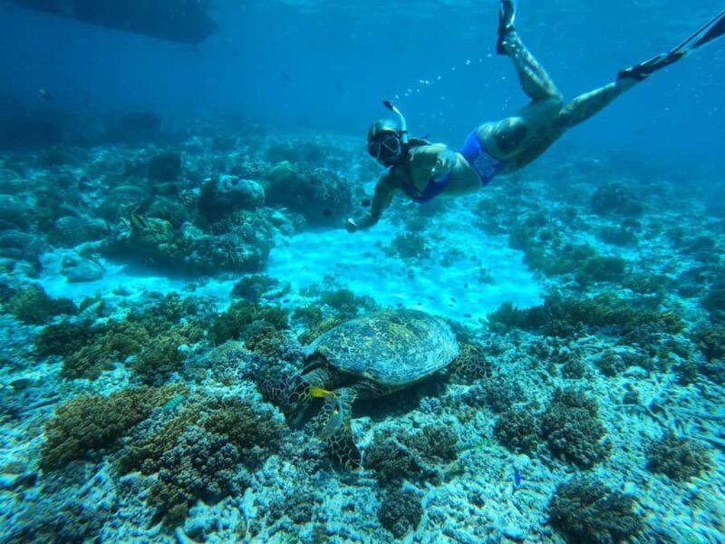 Gili Islands Snorkeling Day Trip with private speedboat - Frequently Asked Questions