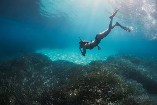 Gili Islands: Snorkeling Tour with Turtles and Statues - Who This Tour Is Best For