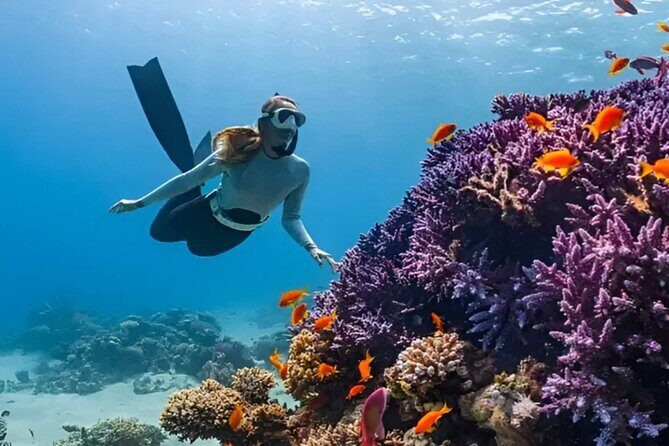 Gili Islands: Snorkeling Tour with Turtles and Statues - Introduction