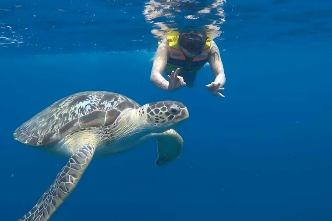 Gili Islands: Snorkeling Tour with Turtles and Statues - FAQ