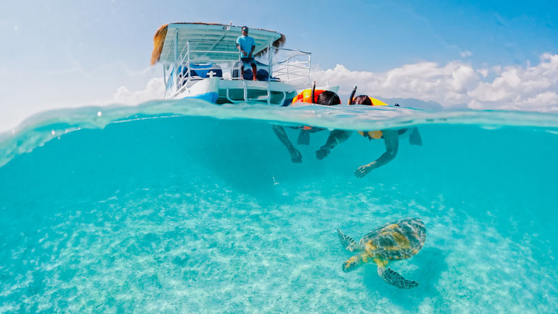 Gili Islands Turtle Snorkeling BBQ Cruise from Gili Trawangan - What makes this cruise worth considering
