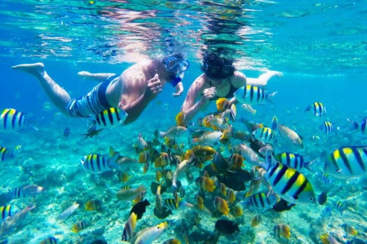 Gili Islands: Underwater Statues Cruise and Snorkeling - Activity Details