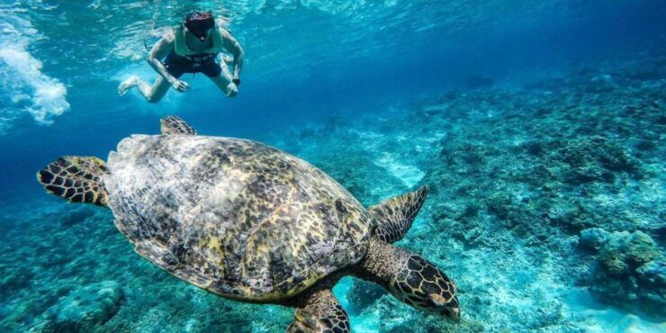 Gili Islands: Underwater Statues Cruise and Snorkeling - Experience Highlights