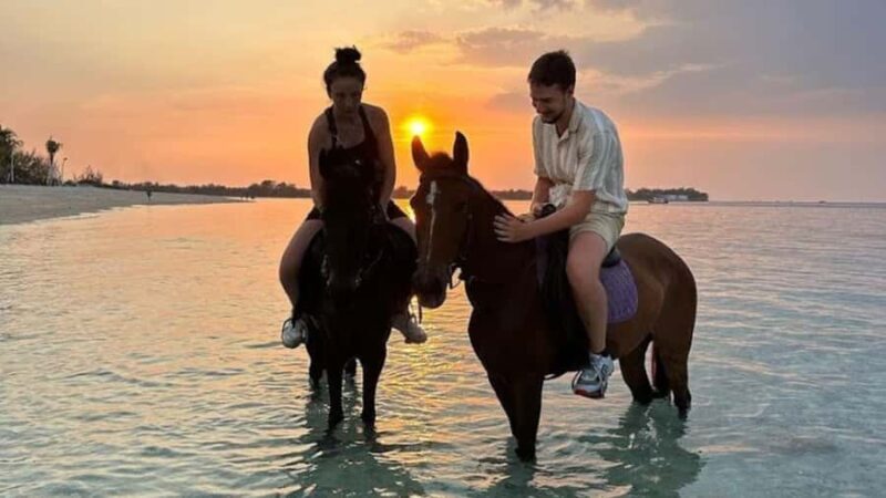 Gili Meno: 1-Hour Beginner Horse Riding Experience - Experience Breakdown: What to Expect from the Tour