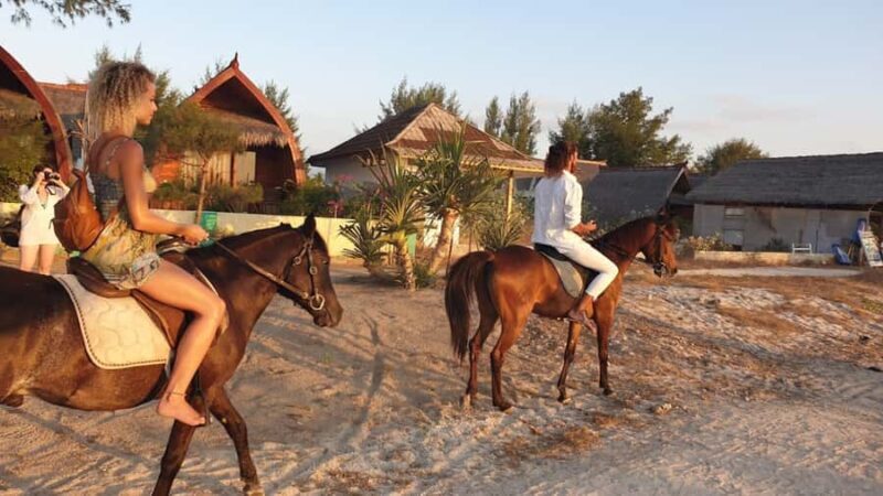 Gili Meno: 1-Hour Beginner Horse Riding Experience - Why This Tour Is Worth It
