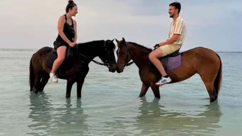 Gili Meno: 1-Hour Beginner Horse Riding Experience - Gili Meno: 1-Hour Beginner Horse Riding Experience – A Practical, Authentic Adventure on the Island’s Shores