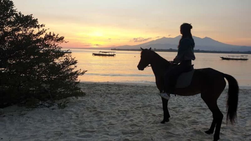 Gili Meno: 1-Hour Beginner Horse Riding Experience - Good To Know