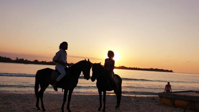 Gili Meno: 1-Hour Beginner Horse Riding Experience - The Scenery You’ll Love