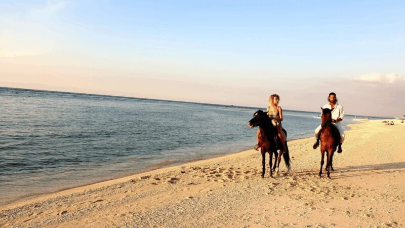 Gili Meno: 1-Hour Beginner Horse Riding Experience - Practical Details and Value