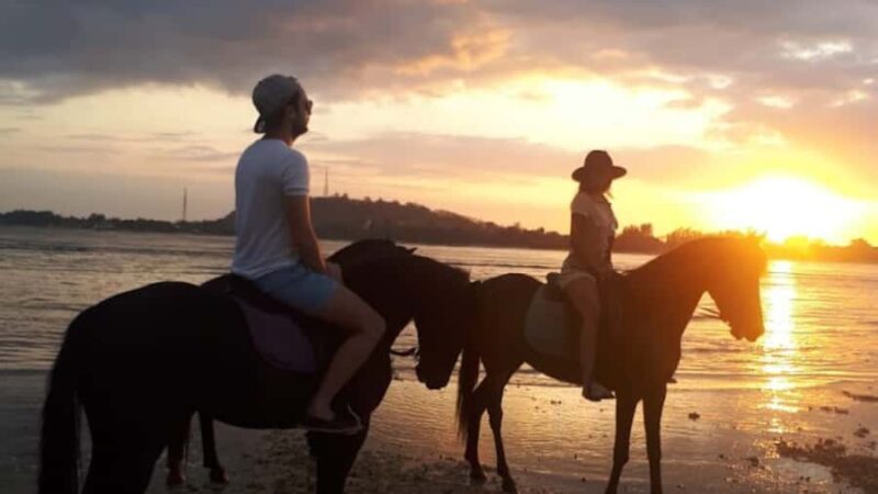 Gili Meno: 1-Hour Beginner Horse Riding Experience - Who Will Love This Experience?