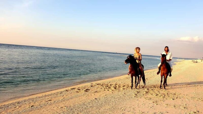 Gili Meno: 1-Hour Beginner Horse Riding Experience - Final Thoughts