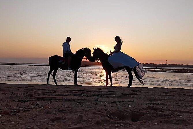 Gili Meno Horse Riding Adventure on the Beach for 1 Hour - What Makes This Tour Stand Out?