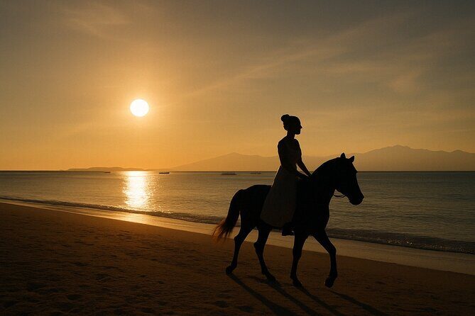 Gili Meno Horse Riding Adventure on the Beach for 1 Hour - Good To Know