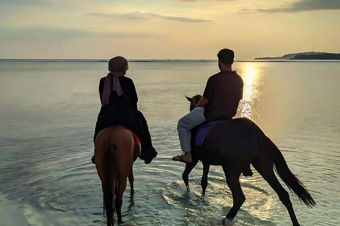 Gili Meno Horse Riding Adventure on the Beach for 1 Hour - An In-Depth Look at the Gili Meno Horseback Riding Tour