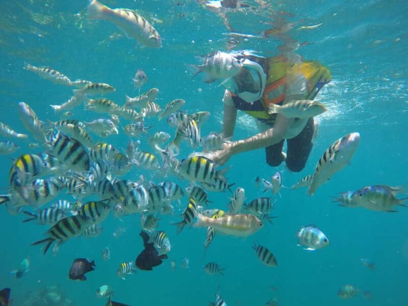 Gili Nanggu Snorkeling Tour from Lombok - Final Thoughts