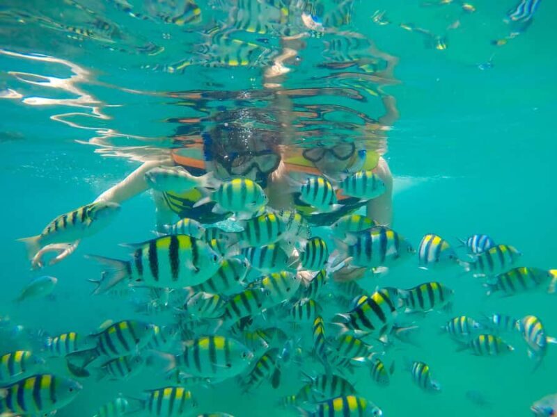 Gili Nanggu Snorkeling Tour from Lombok - Gili Sudak: Beachside Lunch and Relaxation