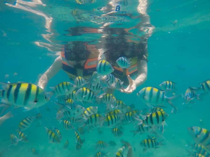Gili Nanggu Snorkeling Tour from Lombok - Practical Details & What to Bring