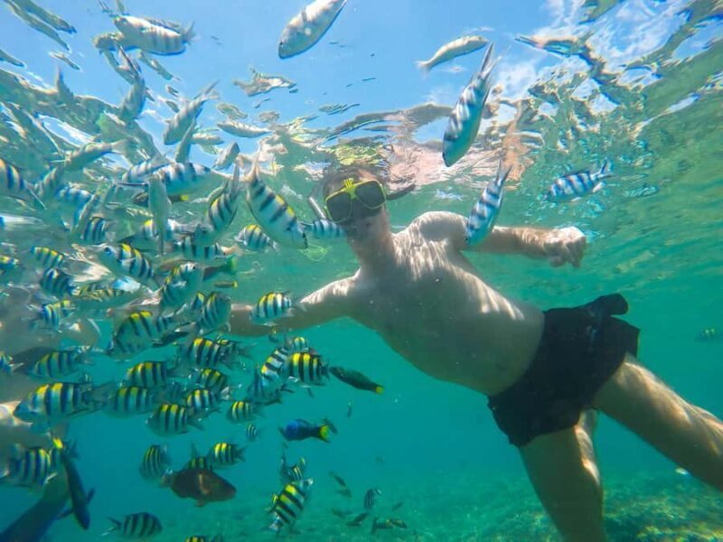 Gili Nanggu Snorkeling Tour from Lombok - FAQ – Frequently Asked Questions