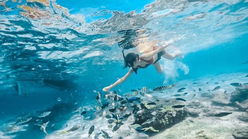 Gili Petelu And Pink Beach Snorkeling Tour in Lombok - Reaching the Harbour and Boarding the Boat