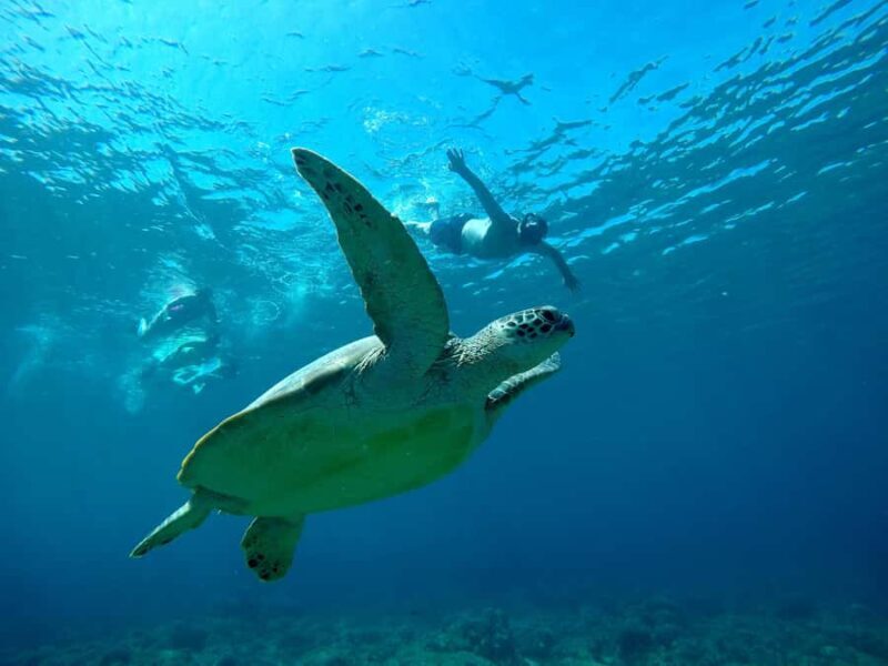Gili Snorkeling Tour With GO PRO Documentation - Practical Details and Tips