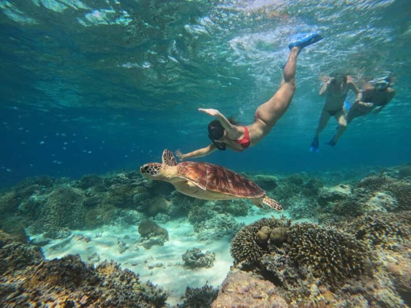 Gili Snorkeling Tour With GO PRO Documentation - Good To Know  