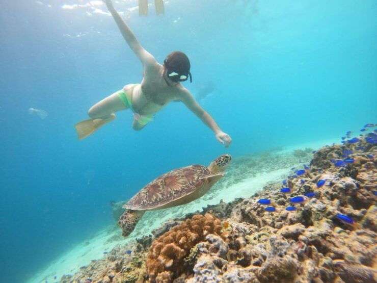 Gili T Island: Gili Snorkeling Day Trip Swim With Turtles - Good To Know
