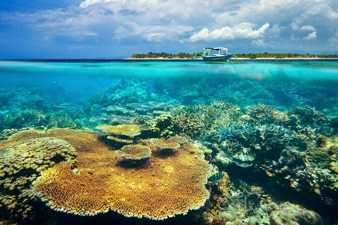 Gili Ticket Transfer and back to bali for the next day - What to Expect at Each Stage