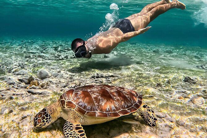 Gili Ticket Transfer and back to bali for the next day - FAQ