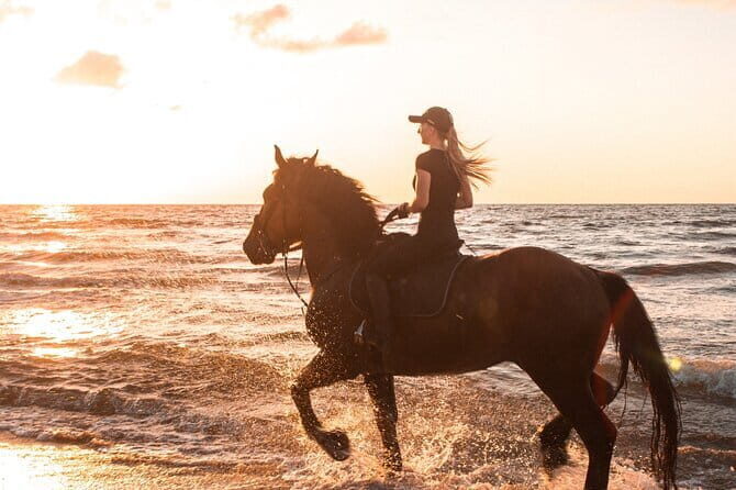 Gili Trawangan Beach Horseback Riding with Pickup Hotel - What Makes This Horseback Riding Tour Stand Out?  