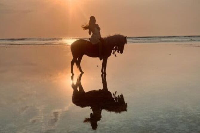 Gili Trawangan Beach Horseback Riding with Pickup Hotel - The Itinerary: What to Expect on Your Ride  