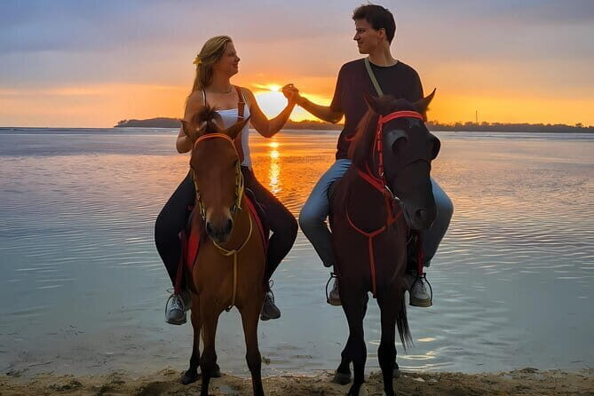 Gili Trawangan Beach Horseback Riding with Pickup Hotel - Why This Tour Is Worth Considering  